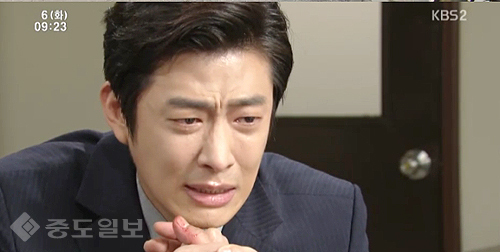 ▲ 내 마음의 꽃비