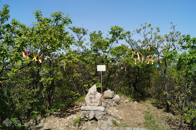 ▲ 봉황산 정상/사진 출처=다음 블로그 '빨간 빈대' ▲ 봉황산 정상/사진 출처=다음 블로그 '빨간 빈대'