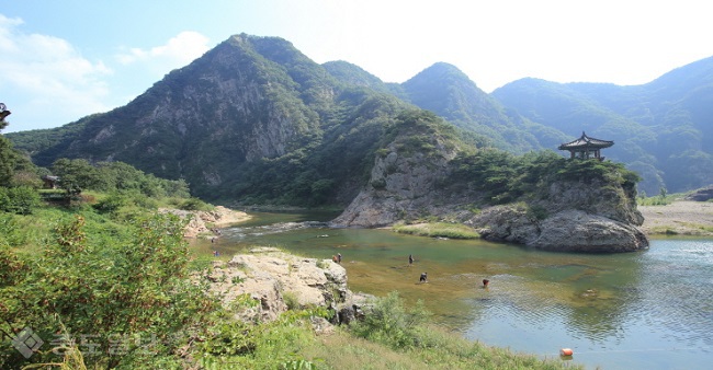 ▲ 사진 제공=영동군청 ▲ 사진 제공=영동군청