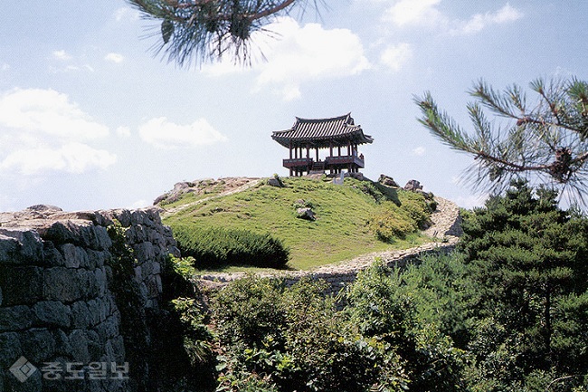 ▲ 출처=나무 위키