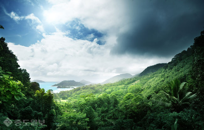 ▲ 게티 이미지 뱅크. ▲ 게티 이미지 뱅크.