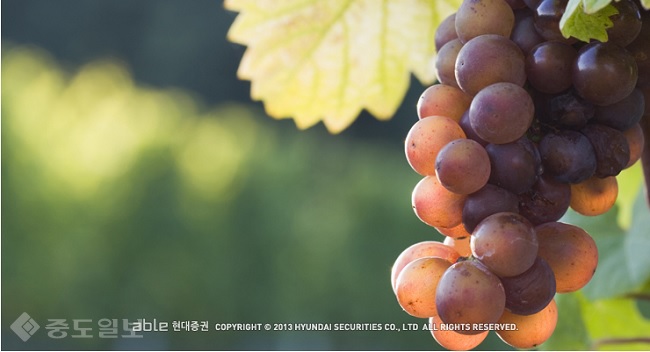 ▲ 사진 출처=able 현대증권 공식블로그 ▲ 사진 출처=able 현대증권 공식블로그