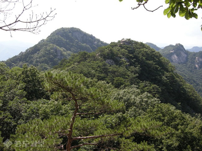 ▲ 사진 출처=티스토리 '산을 오른 돌고래' ▲ 사진 출처=티스토리 '산을 오른 돌고래'