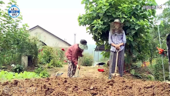 ▲ 사진=나혼자 사다 캡처