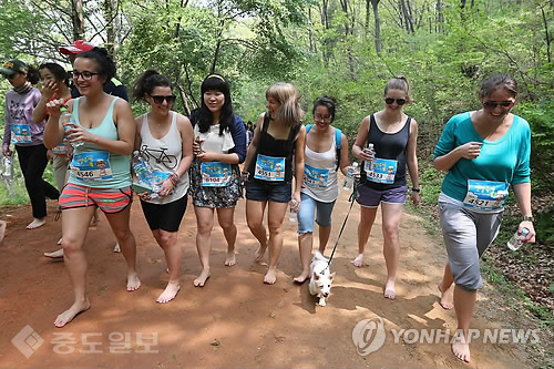 ▲ 계족산 황톳길에서 열린 '맨발걷기와 달리기 대회' 모습/사진=연합 DB