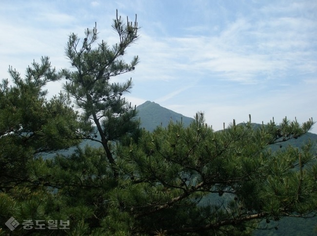 ▲ 사진 출처=네이버 카페 '안산조은산악회'