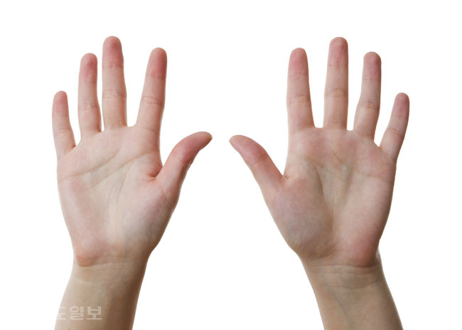 ▲ 게티 이미지 뱅크 ▲ 게티 이미지 뱅크