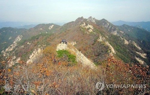 ▲ 단풍으로 물드는 계룡산 <<연합뉴스 자료사진>> ▲ 단풍으로 물드는 계룡산 <<연합뉴스 자료사진>>