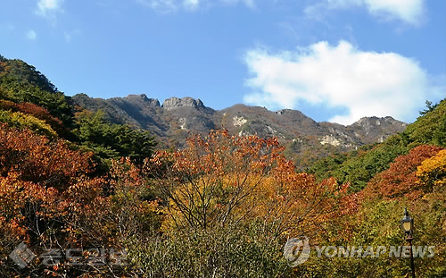 ▲ 계룡산 단풍 '절정' <<연합뉴스 자료사진>> ▲ 계룡산 단풍 '절정' <<연합뉴스 자료사진>>