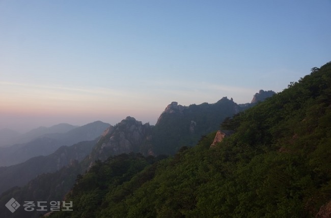 ▲ 사진 출처=네이버 블로그 '복덩어리' ▲ 사진 출처=네이버 블로그 '복덩어리'