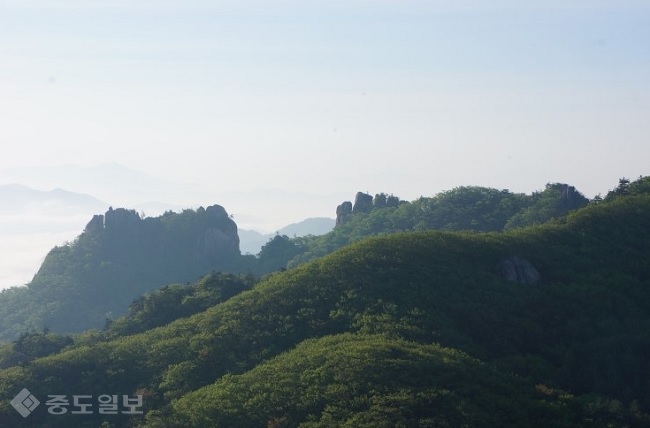 ▲ 사진 출처=네이버 블로그 '복덩어리' ▲ 사진 출처=네이버 블로그 '복덩어리'