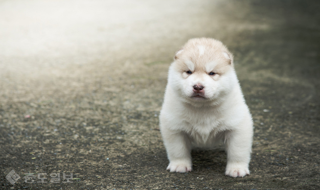 ▲ 사진은 기사내 특정 사실과 관계없음./사진=게티 이미지 뱅크