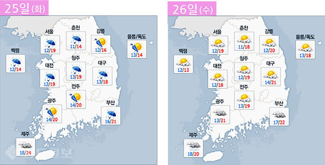 ▲ 네이버 기상정보 참조