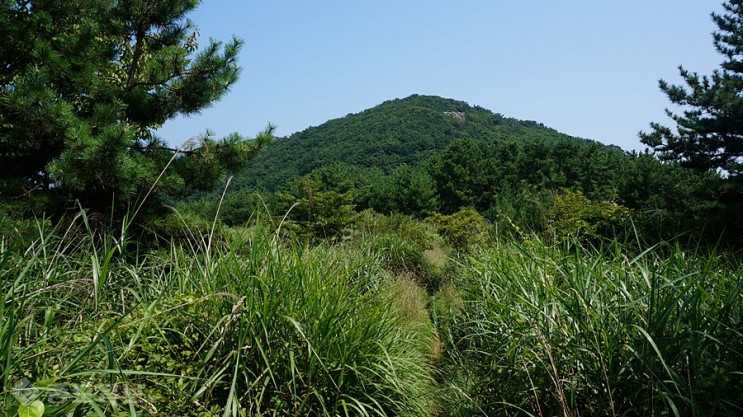 ▲ 사진 출처=네이버 블로그 '나홀로 유유자적'