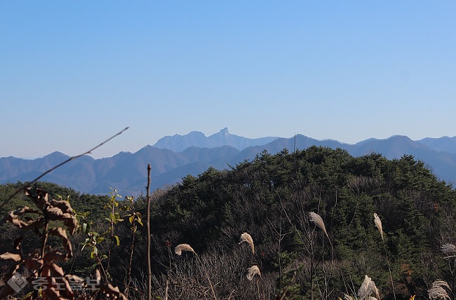▲ 문래산으로 가는 갈림길에서 보이는 모습/