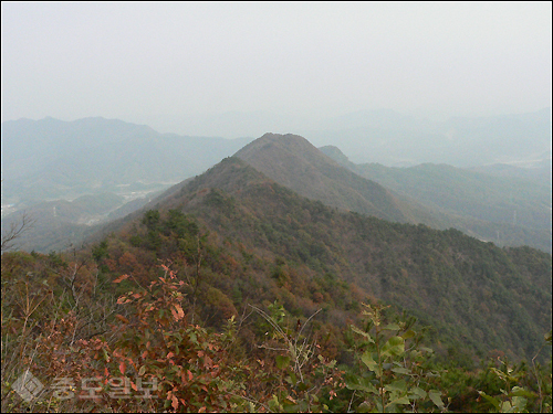 ▲ 식장산 정상에서 내려다본 능선/사진 출처=오마이뉴스 블로그홈 '향나무'