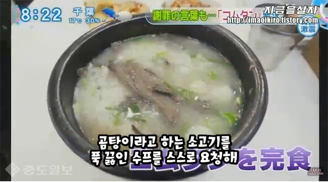 ▲ 유튜브 일본반응채널 지금살자 화면 캡처 ▲ 유튜브 일본반응채널 지금살자 화면 캡처