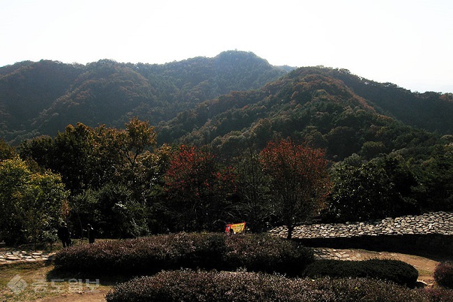 ▲ 사진 출처=중구청