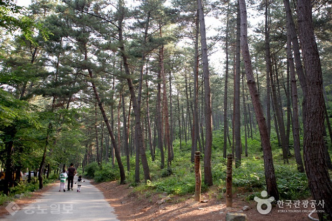 ▲ 사진출처=한국관광공사