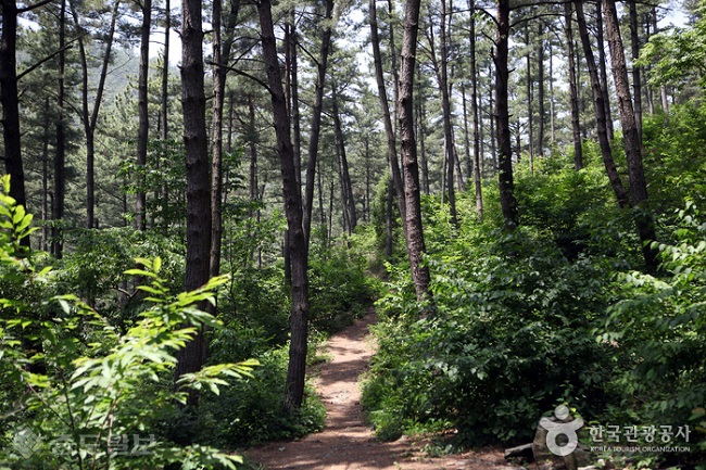 ▲ 사진 출처=한국관광공사