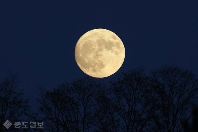 ▲ 68년만에 슈퍼문이 하늘에 뜬다. /사진출처=연합뉴스