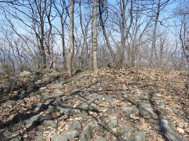 ▲ 사진 출처=다음 블로그 '느림보의 세상사는 이야기'