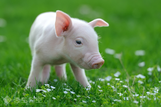 ▲ 게티 이미지 뱅크 ▲ 게티 이미지 뱅크