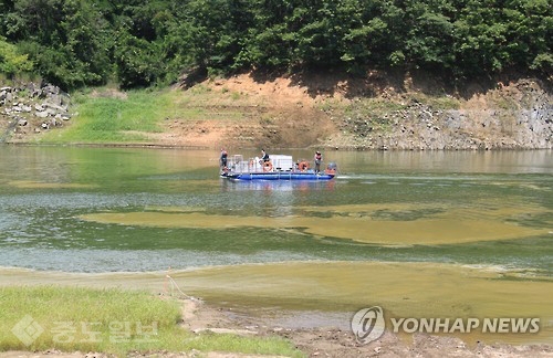 ▲ 조류경보가 내려진 대청호 추동수역.