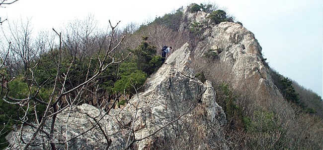 ▲ 사진 출처=Gosan21.net 운영자 박영춘