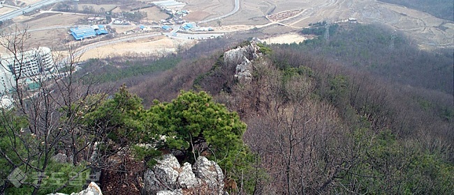 ▲ 사진 출처=Gosan21.net 운영자 박영춘