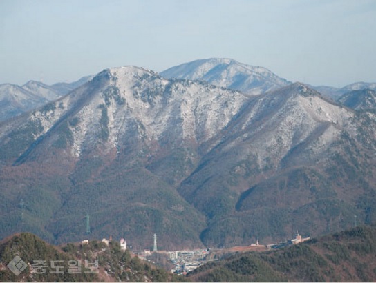 ▲ 출처=산림청 숲에 on