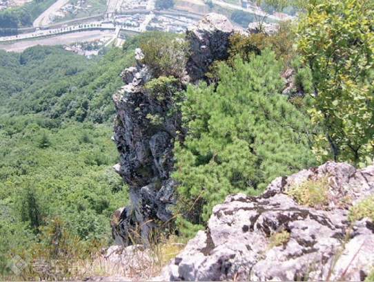 ▲ 출처=산림청 숲에 on