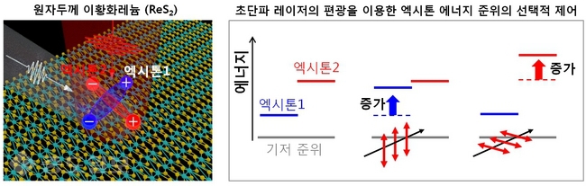 ▲ 원자두께 ReS2 및 실험 모식도<왼쪽>와 초단파 레이저의 편광을 이용한 엑시톤 에너지 준위의 선택적 제어.