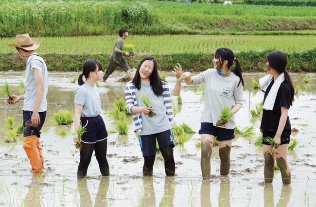 ▲ 손모내기 봉사활동을 하고 있는 홍성 홍동중학교 학생들./중도일보DB.