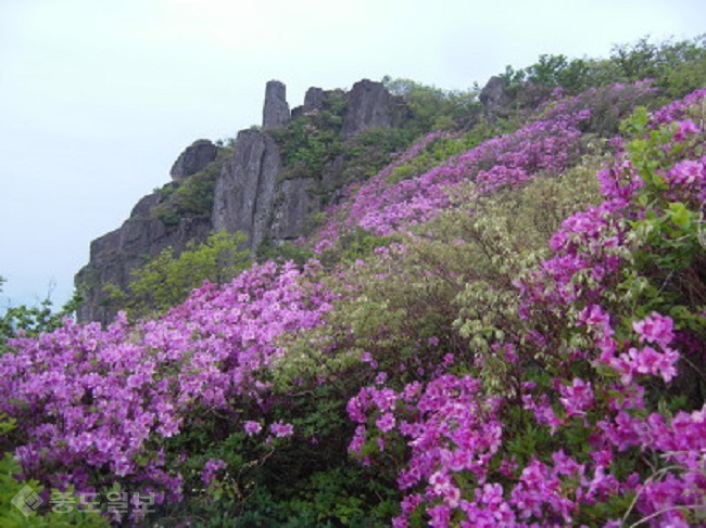 ▲출처=다음 블로그 '산토끼 소풍간 이야기'