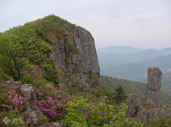 ▲출처=다음 블로그 '산토끼 소풍간 이야기'