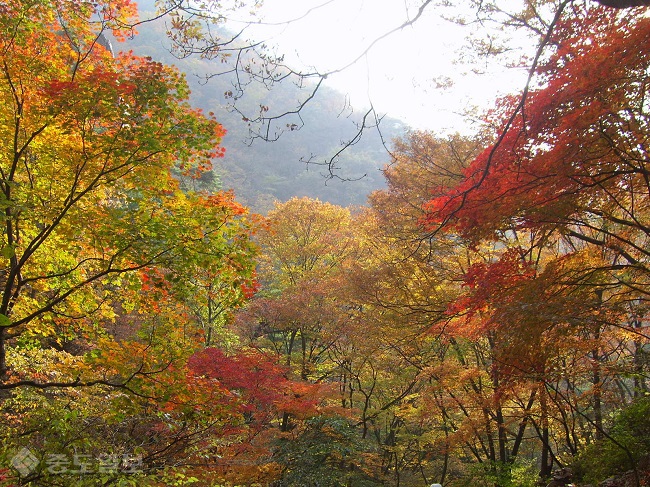 ▲출처=이글루 '제이비의 철인 이야기'