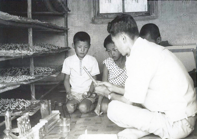 ▲ 부여 초촌초,누에표본 만들기(1975년).충남도교육청 제공.