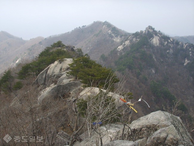 ▲출처=다음 블로그 '유랑자 홈피입니다'