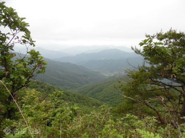▲출처=다음 블로그 '산바람과 함께'
