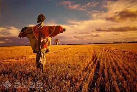 ▲ joins블로그 ‘가을남자’
<br />