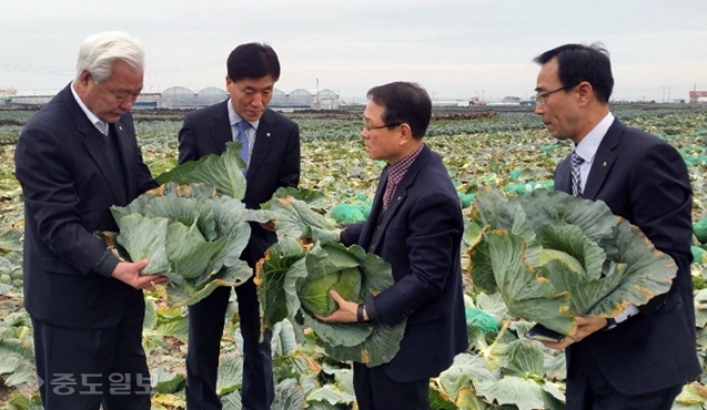 ▲연합뉴스 자료사진.