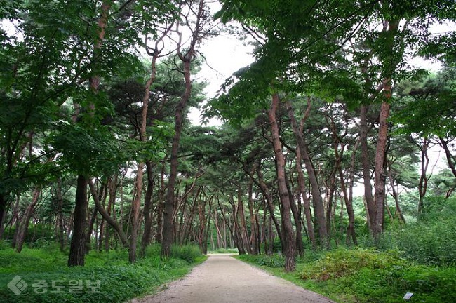 ▲출처=이글루 블로그 'Out of expected values'