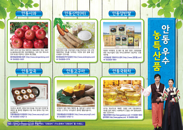 ▲ (제공=안동시)