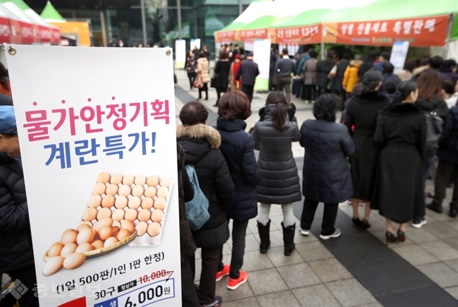 ▲ 18일 서울 농협중앙회 본관 앞마당에서 열린 '설맞이 소비자·생산자 상생 직거래 장터'에서 시민들이 특가에 판매되는 계란을 사기 위해 줄을 서고 있다. 연합뉴스