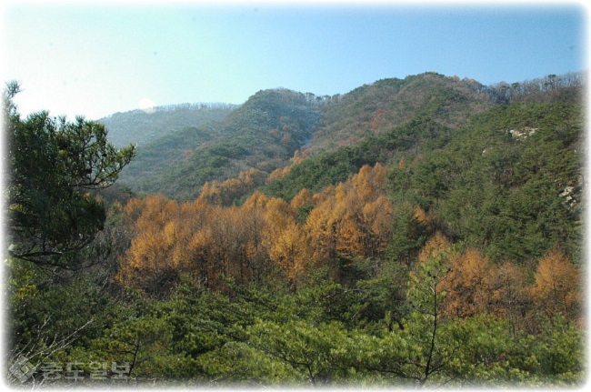 ▲출처=티스토리 블로그 '이창우의 내 청춘 산에 걸고'