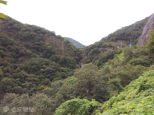 ▲출처= 다음 블로그 '소라니'