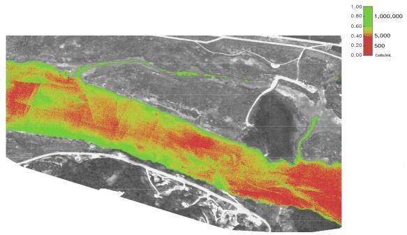 ▲ 초분광센서로 촬영한 낙동강 도동나루터. 
<br />초록색 부분이 녹조의 농도를 나타내며 일반 카메라 영상에서 육안으로 보이지 않던 부분의 녹조를 한눈에 파악할 수 있다.