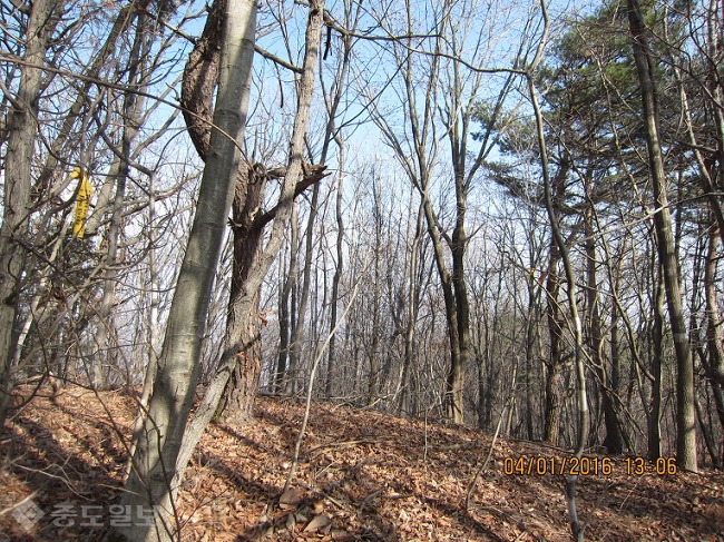 ▲출처=다음 블로그 '무명'