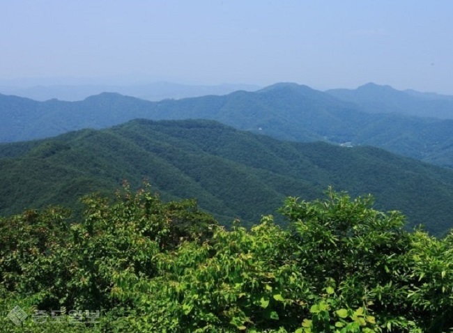 ▲출처=걷는 사람들 홈페이지.